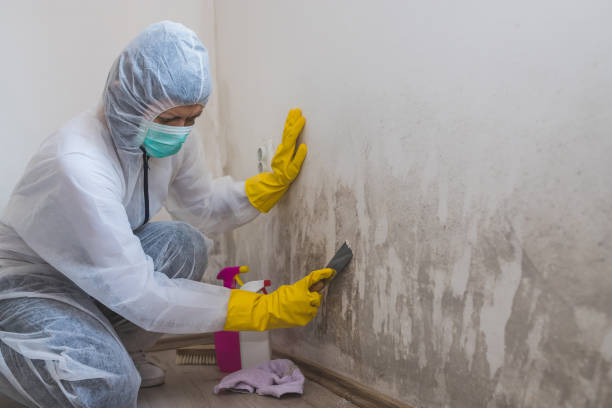 Mold Testing and Removal in Two Rivers, WI