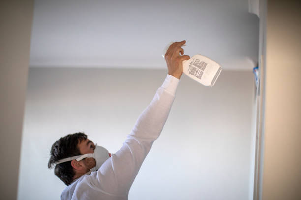 Best Black Mold Removal  in Two Rivers, WI