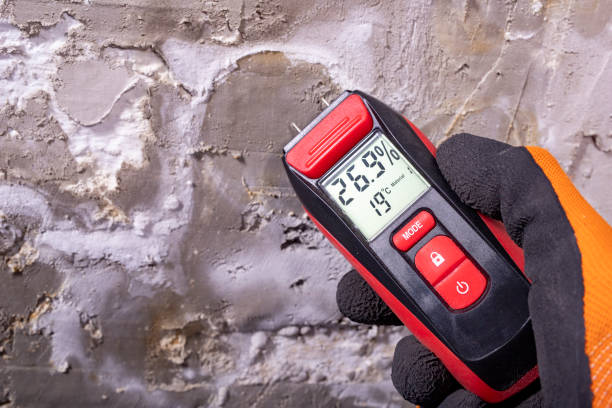 Best Emergency Mold Removal  in Two Rivers, WI