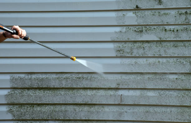 Best Attic Mold Removal  in Two Rivers, WI