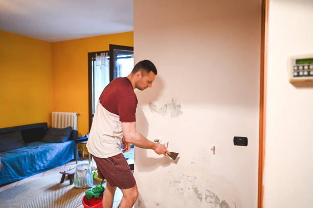 Best Mold Remediation  in Two Rivers, WI