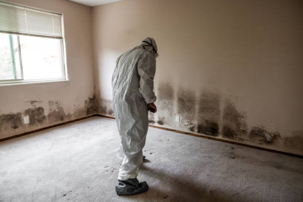Best Crawl Space Mold Removal  in Two Rivers, WI
